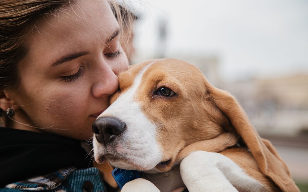 Nurturing Unbreakable Bonds: Cultivating a Stronger Connection with Your Beloved Pet