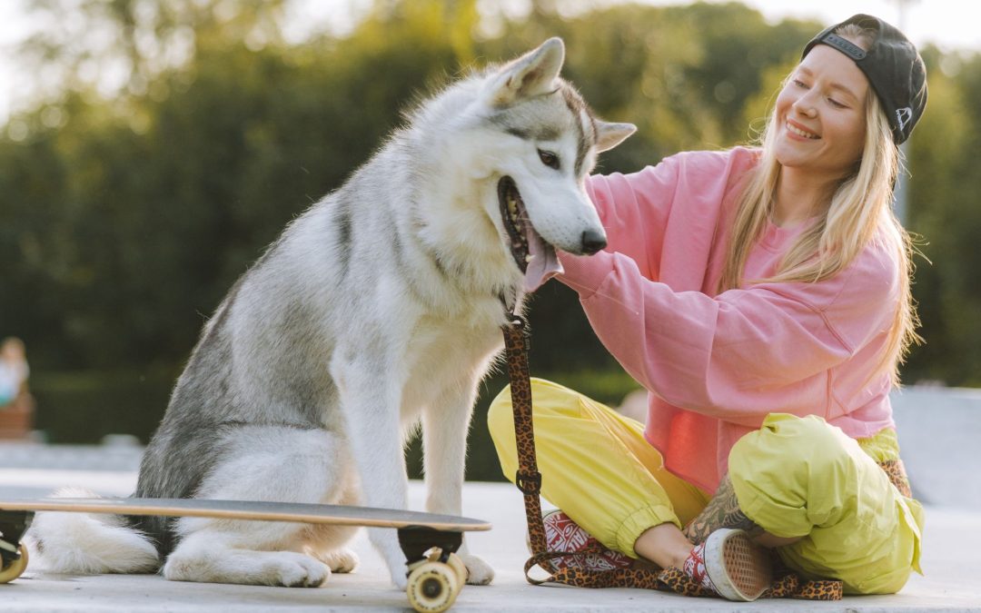 Pet-Friendly Vacations: Finding Accommodations and Activities for Your Furry Friend